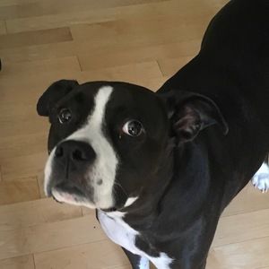 Meet your Posher, Ingrid